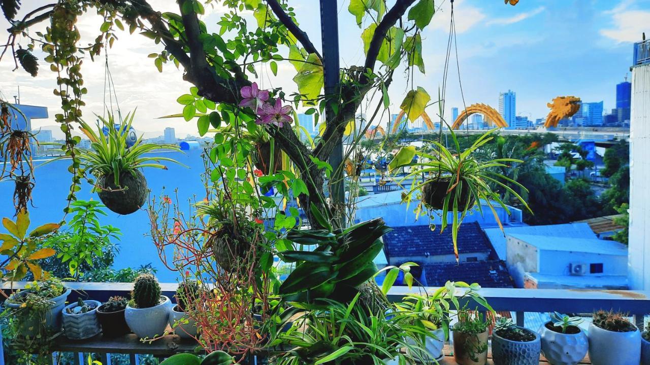 Sena Home 4Th-Rooftop Overlooking Danang Dragon Bridge المظهر الخارجي الصورة